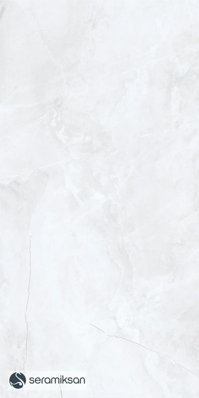 30*60 ZEUS SILVER