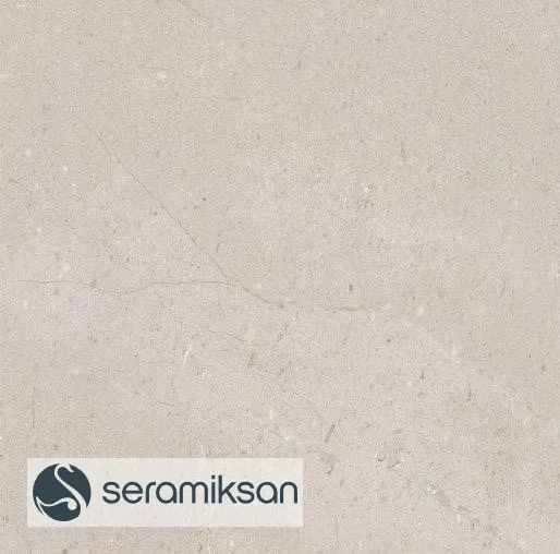 60*60 FONTANA BONE