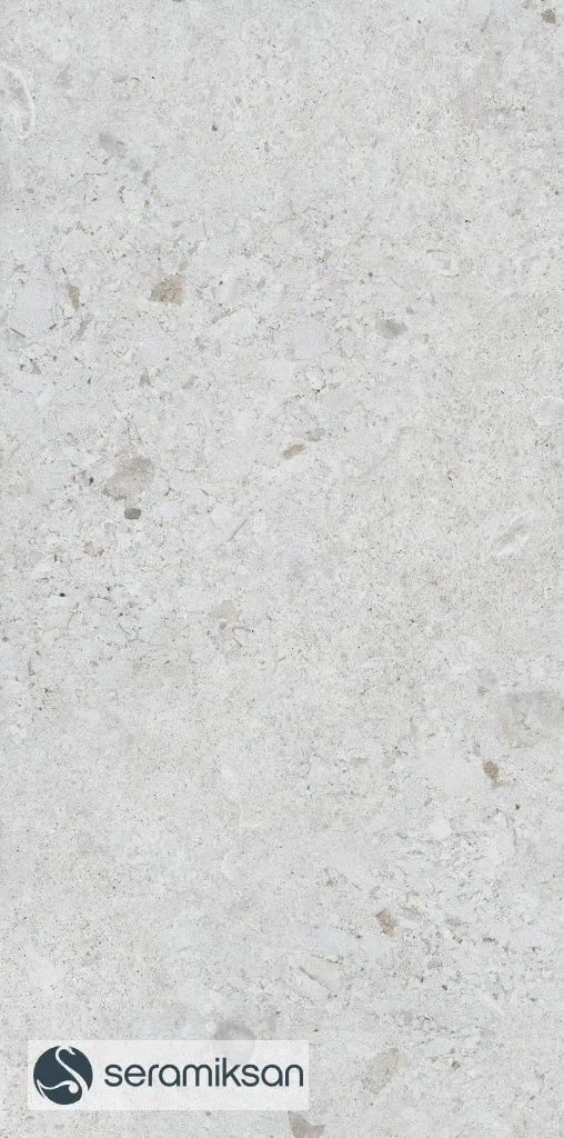 60*120 VENEZIA MATT GRAY