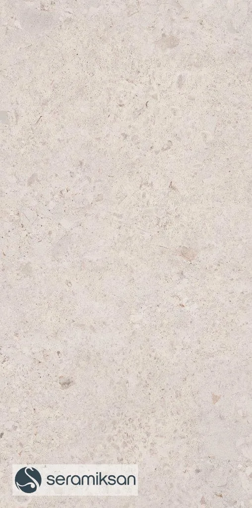 60*120 VENEZIA MATT BONE
