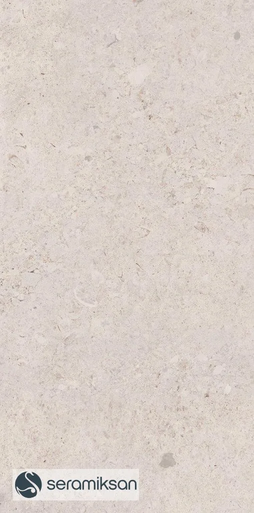 60*120 VENEZIA BONE F.L. görsel 3