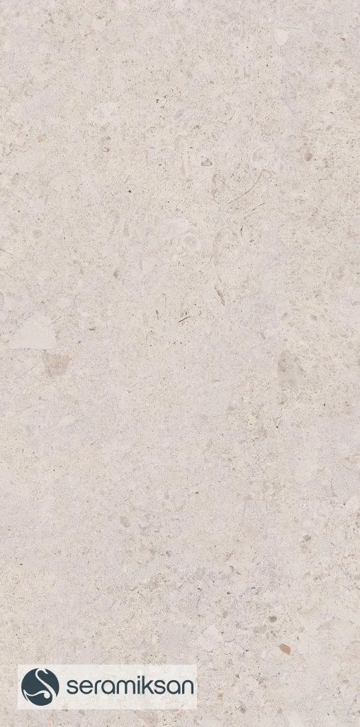 60*120 VENEZIA BONE F.L. görsel 4