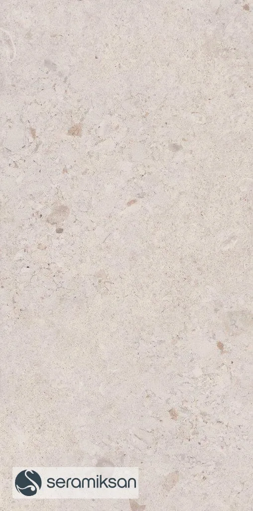 60*120 VENEZIA BONE F.L. görsel 5