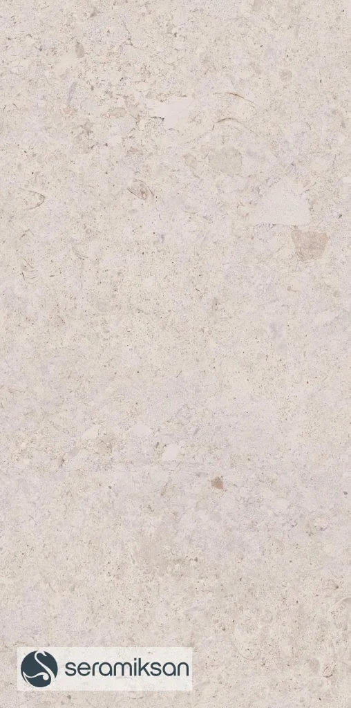 60*120 VENEZIA BONE F.L. görsel 8
