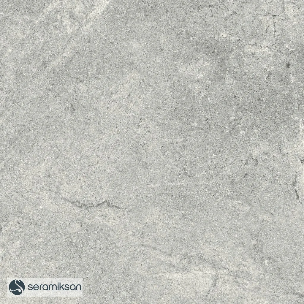 60*60 MONS GRAY