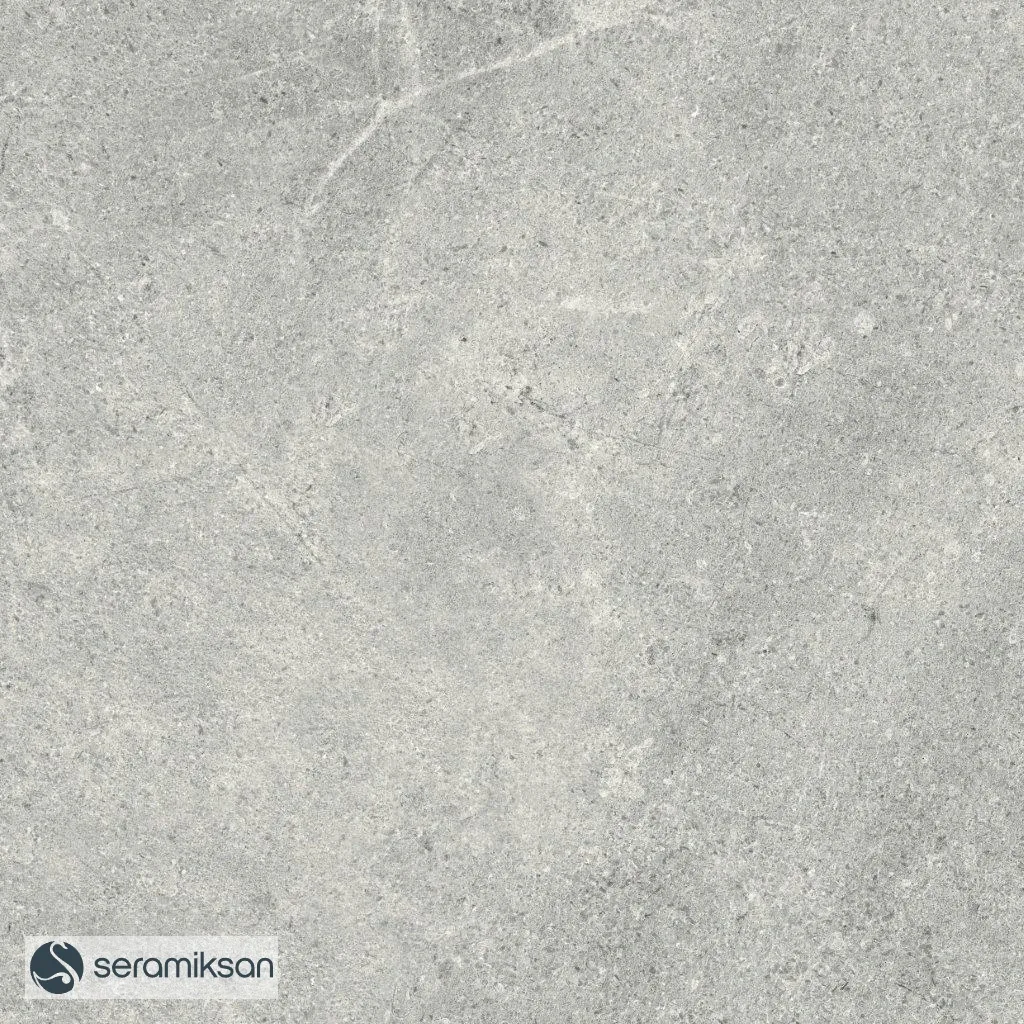 60*60 MONS GRAY