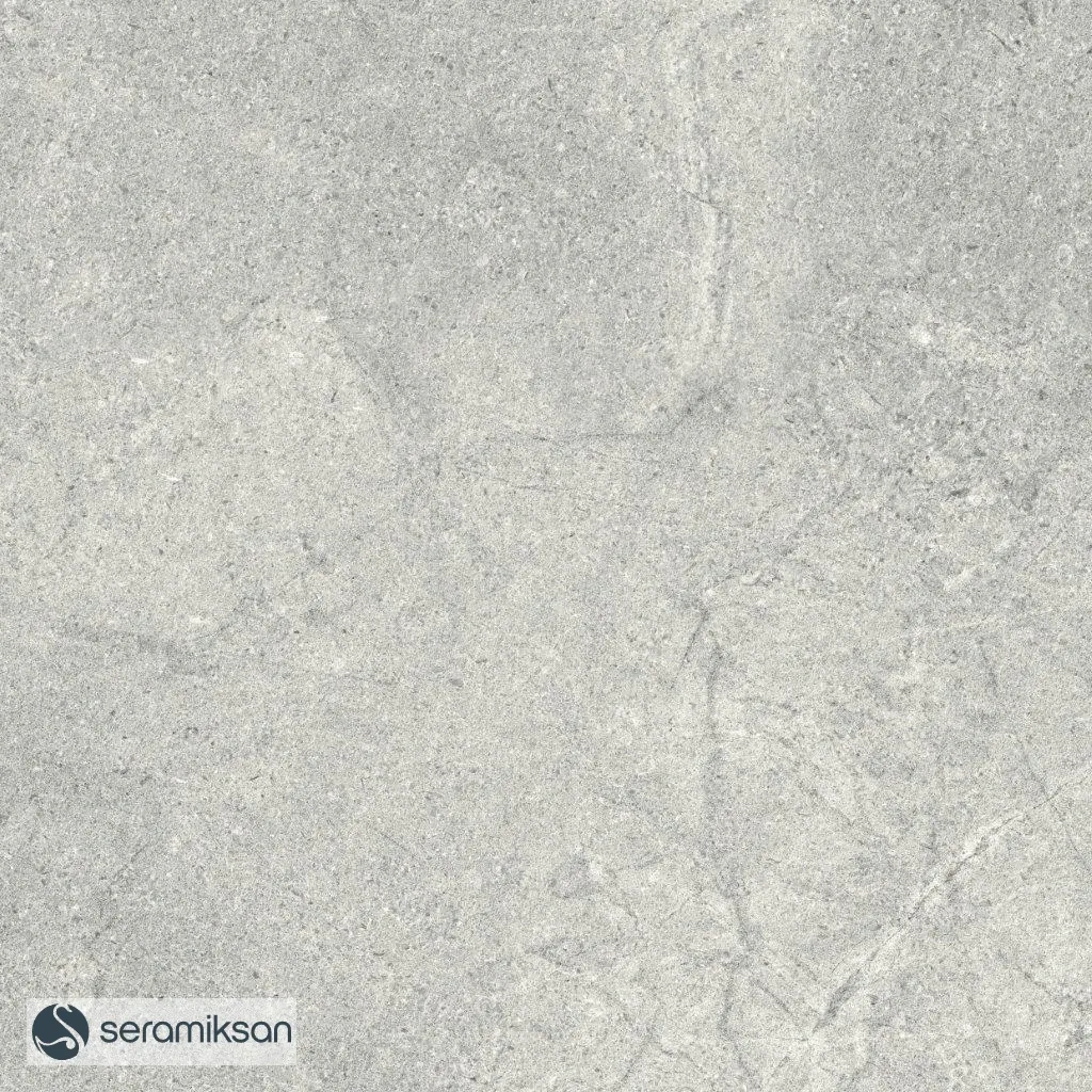 60*60 MONS GRAY