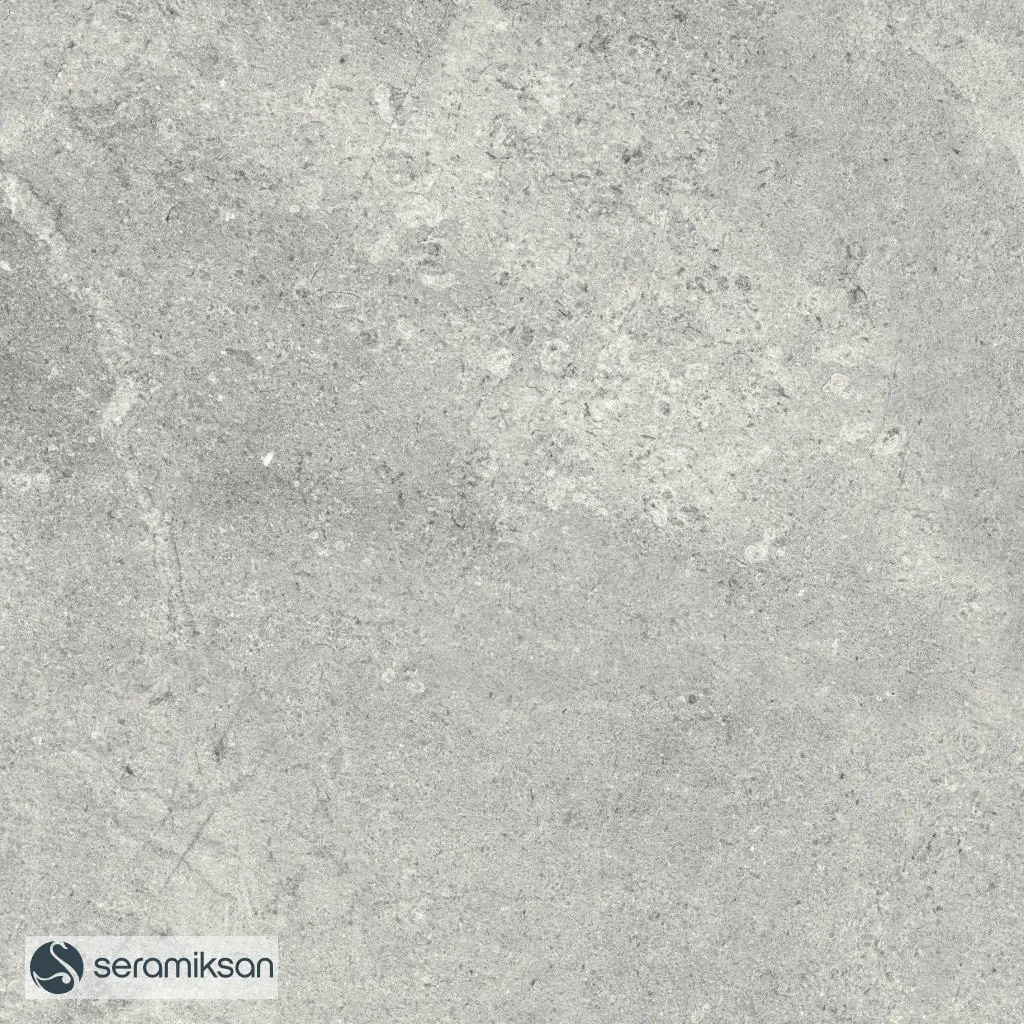 60*60 MONS GRAY