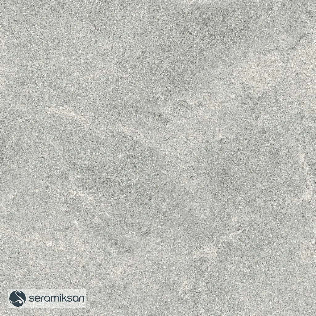 60*60 MONS GRAY