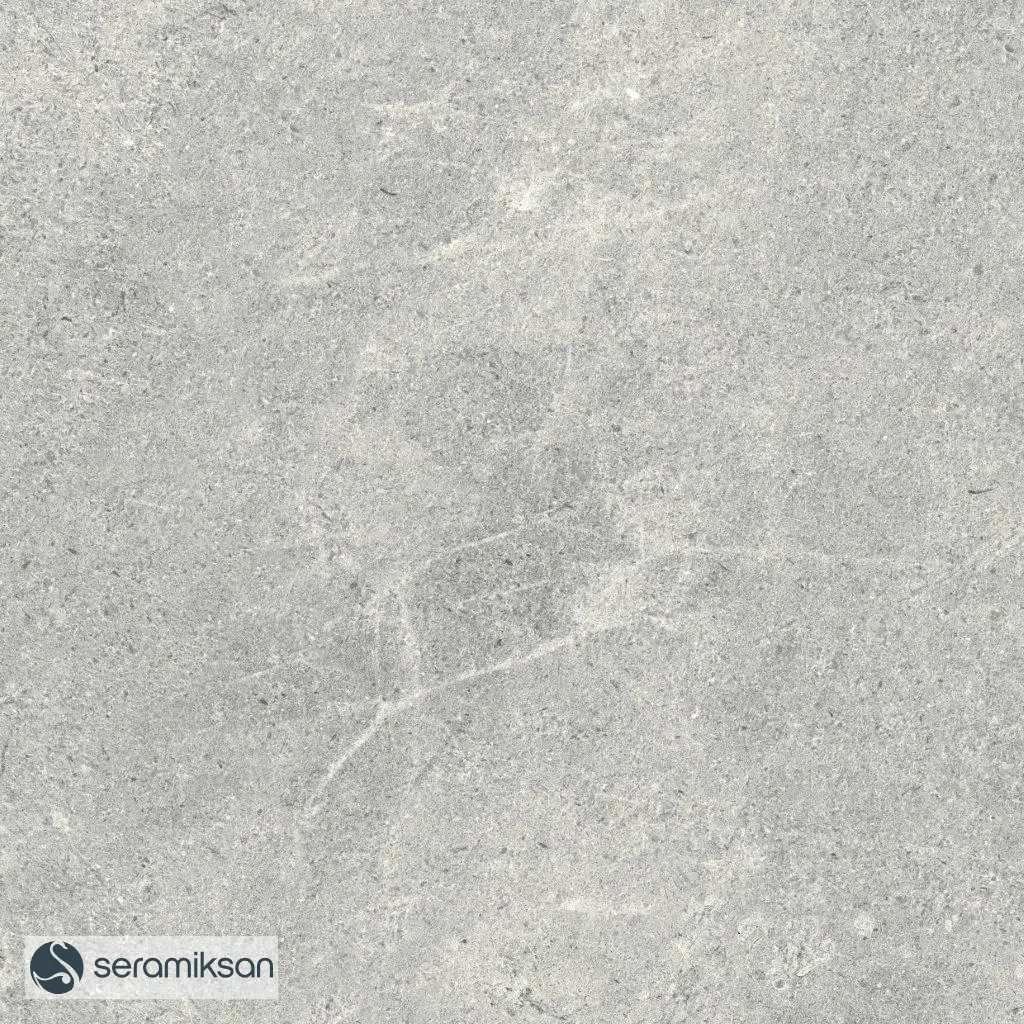 60*60 MONS GRAY