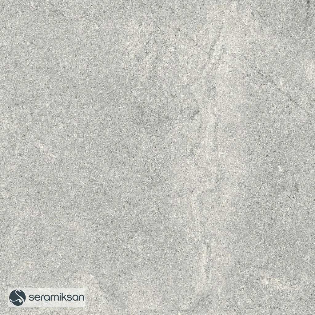 60*60 MONS GRAY