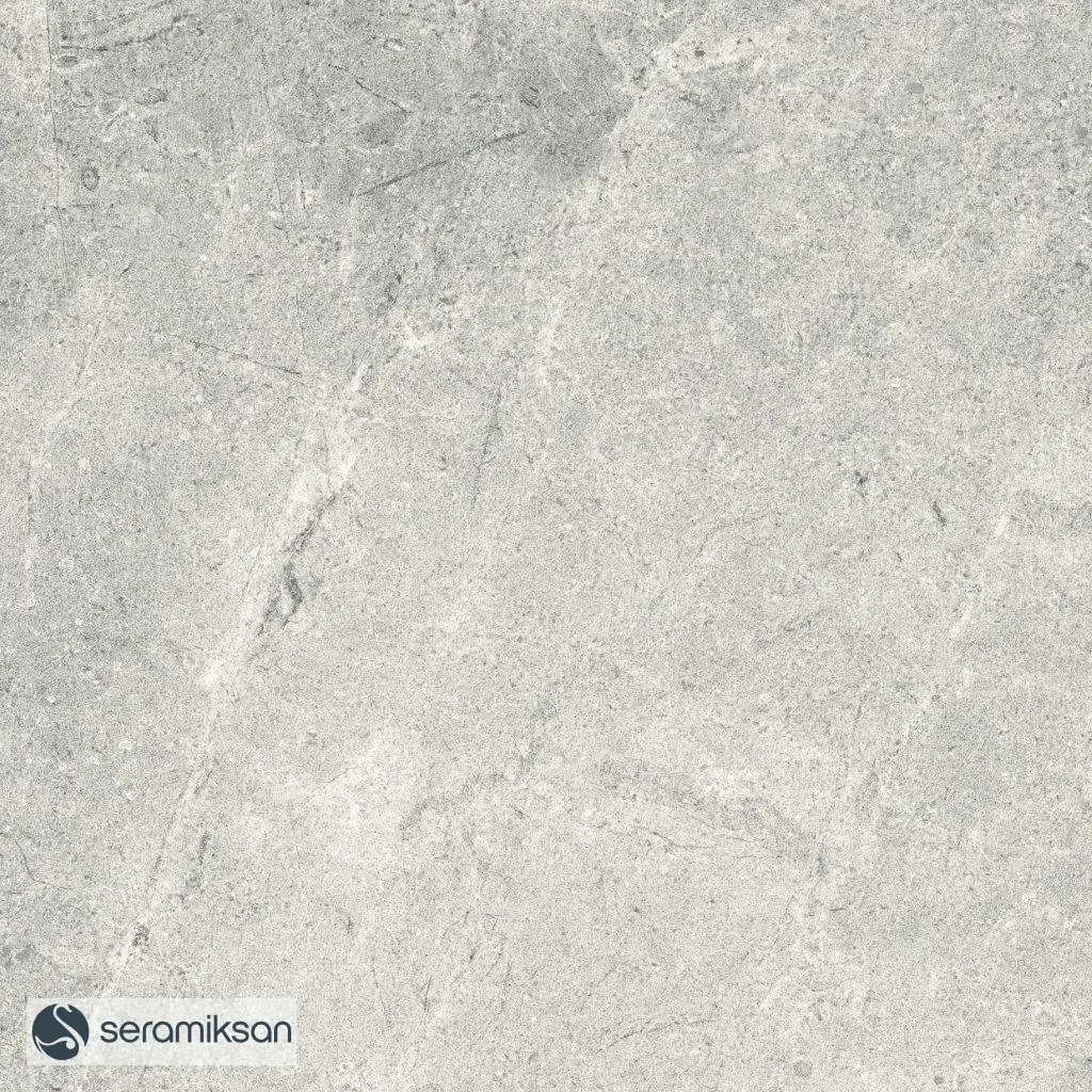 60*60 MONS GRAY
