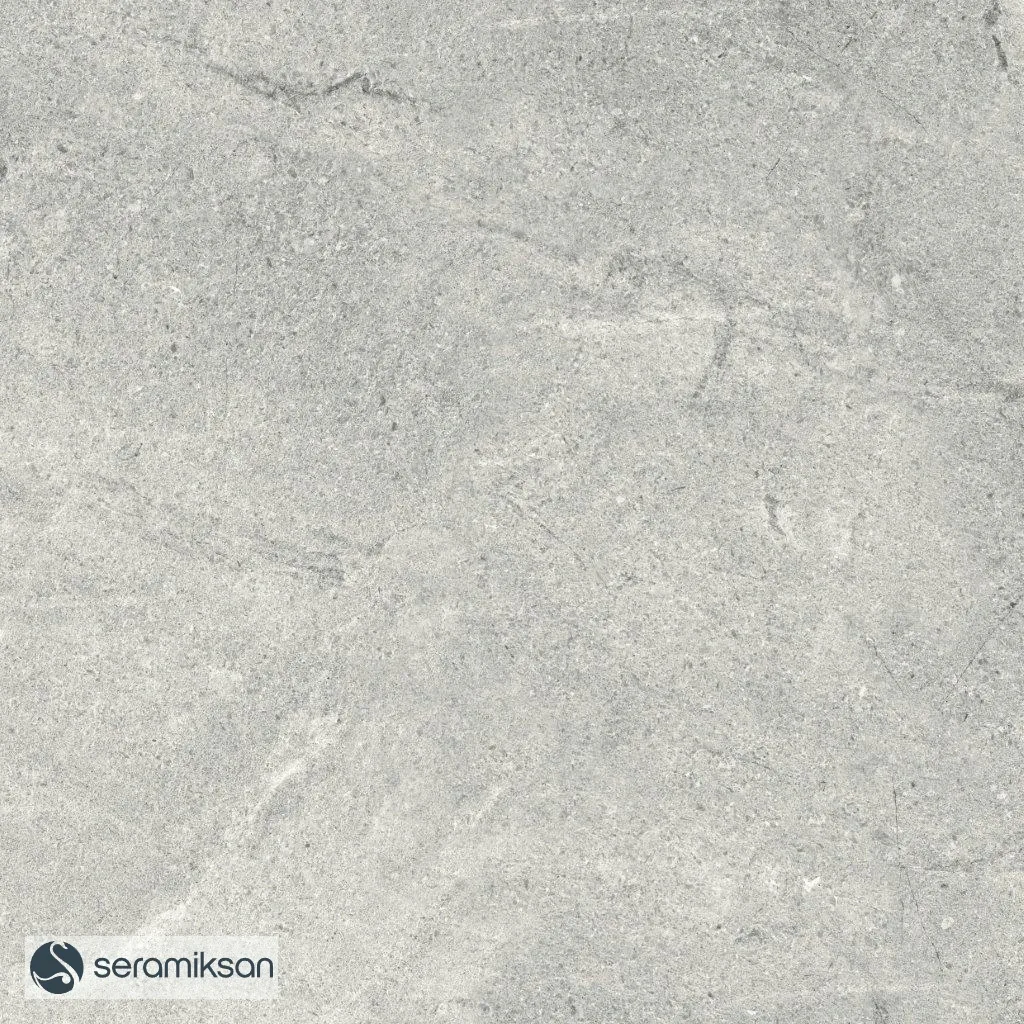 60*60 MONS GRAY