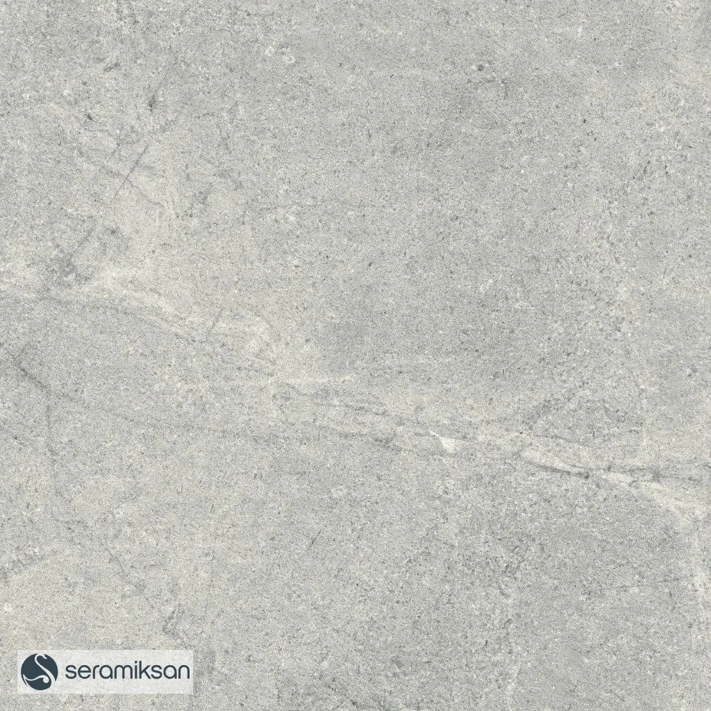 60*60 MONS GRAY