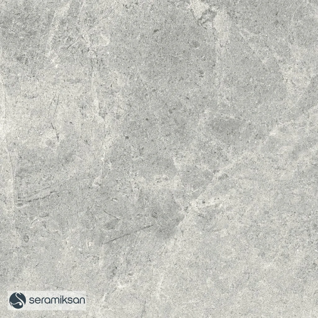 60*60 MONS GRAY