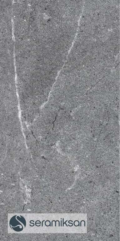 30*60 CALIFORNIA GRAPHITE görsel 3