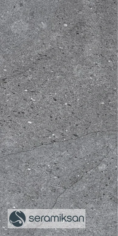 30*60 CALIFORNIA GRAPHITE görsel 5