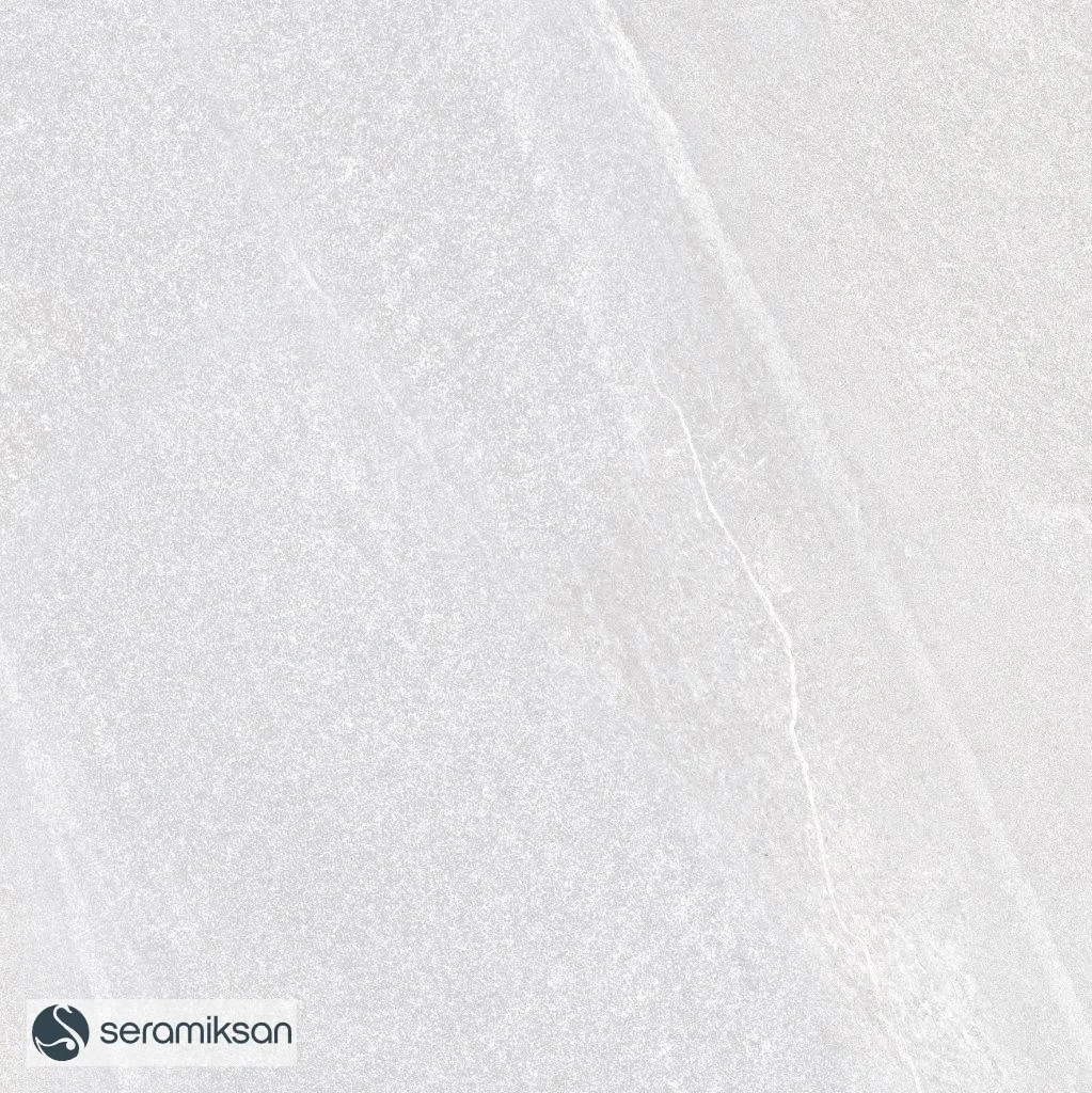 60*60 LECCE LIGHT GRAY