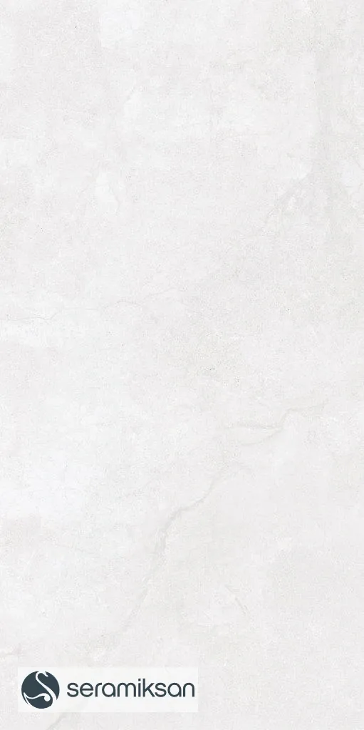 60*120 METROPOLIS FOG