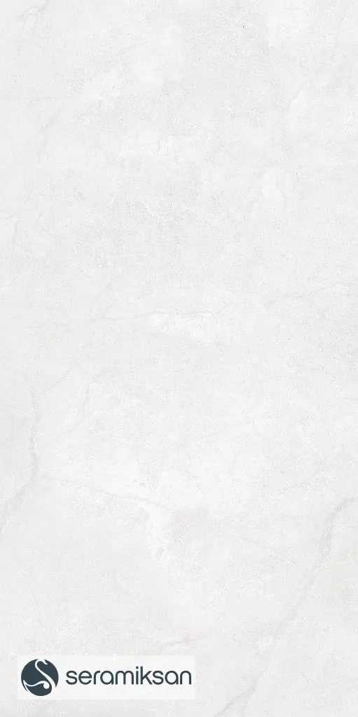 60*120 METROPOLIS FOG