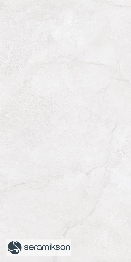 60*120 METROPOLIS FOG