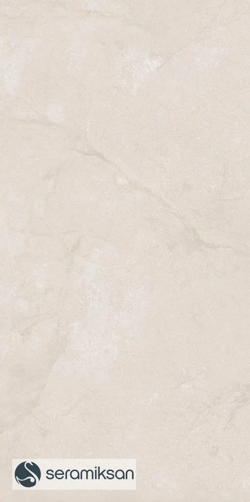 60*120 METROPOLIS SANDSTONE