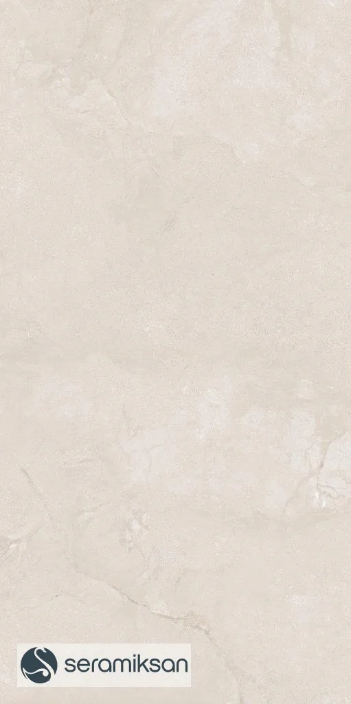 60*120 METROPOLIS SANDSTONE