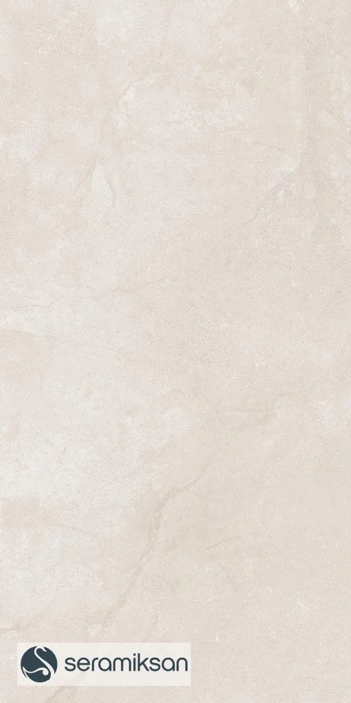 60*120 METROPOLIS SANDSTONE