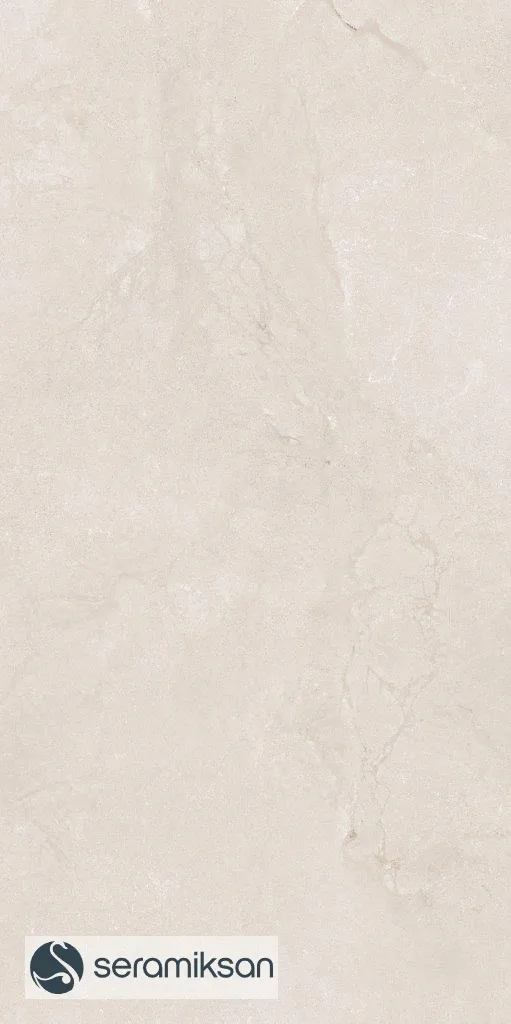 60*120 METROPOLIS SANDSTONE