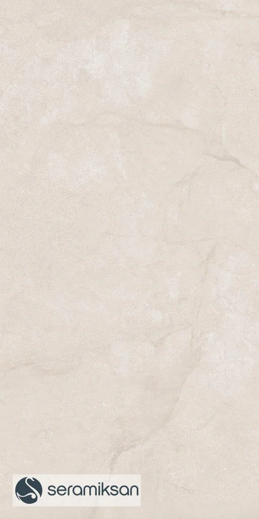 60*120 METROPOLIS SANDSTONE