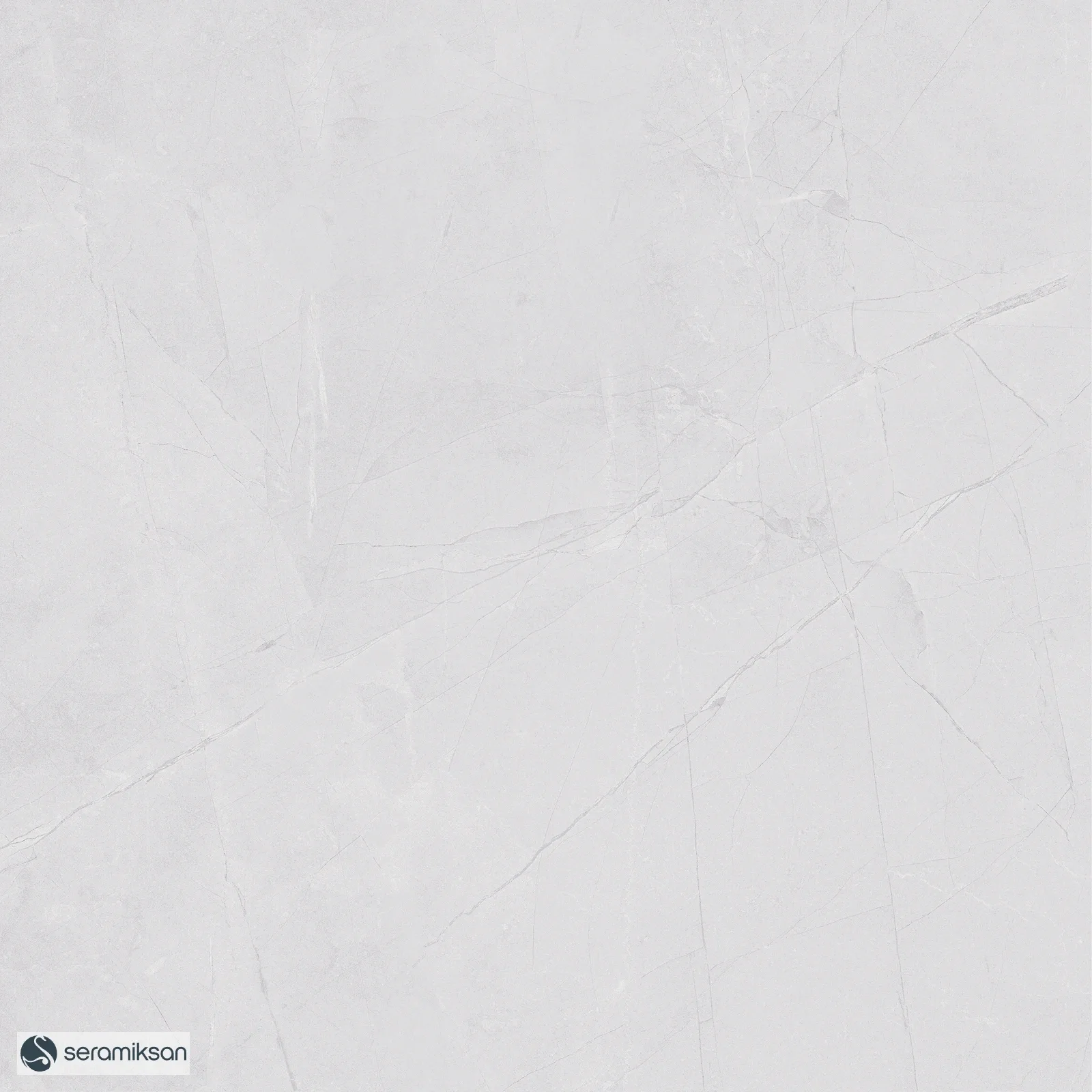 50*50 QUANTUM L.GRAY
