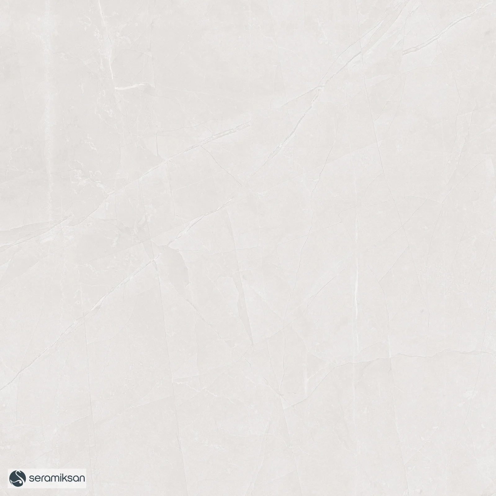 50*50 QUANTUM BONE