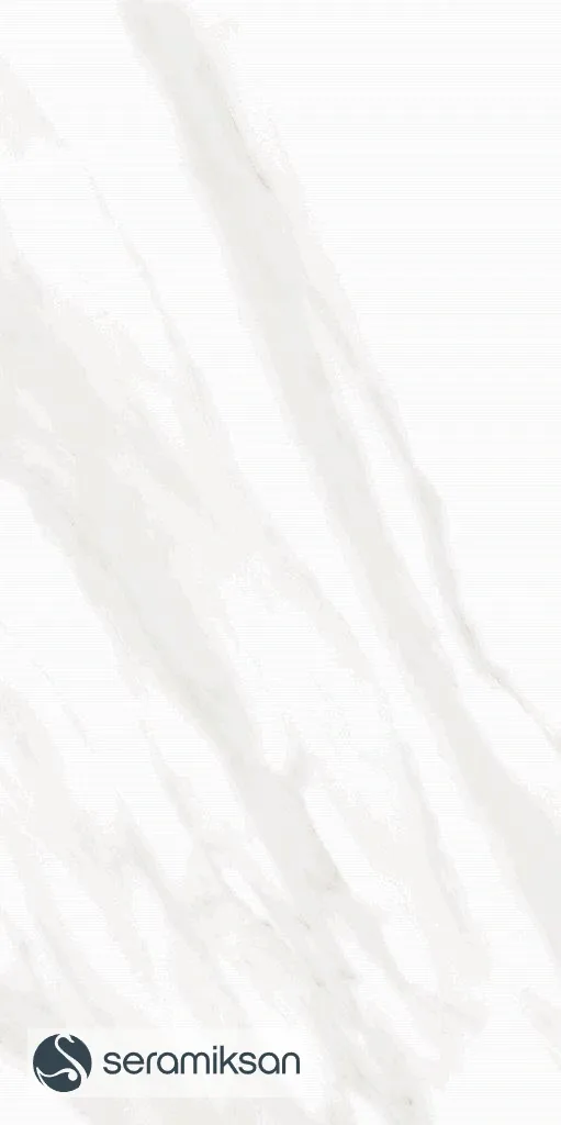 30*60 SNOW görsel 3