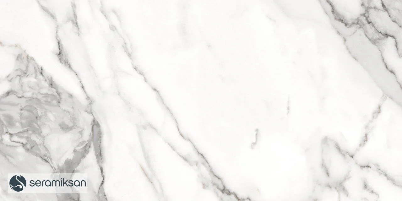 60*120 ZANZIBAR GRAY - FULL LAPP görsel 2