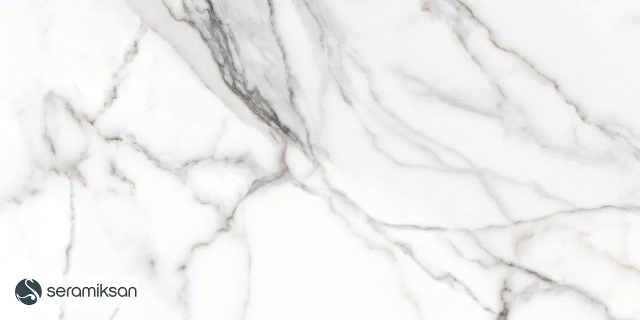 60*120 ZANZIBAR GRAY - FULL LAPP görsel 11