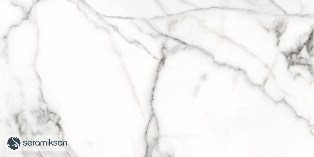 60*120 ZANZIBAR GRAY - FULL LAPP görsel 5