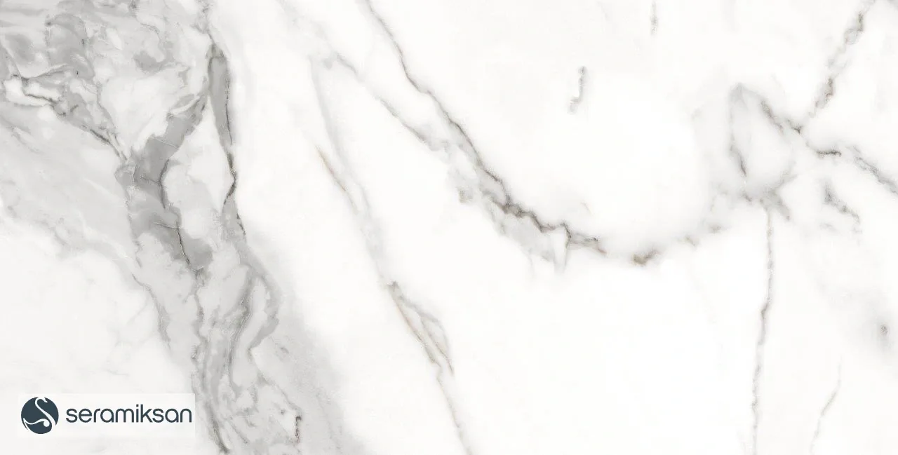 60*120 ZANZIBAR GRAY - FULL LAPP görsel 6