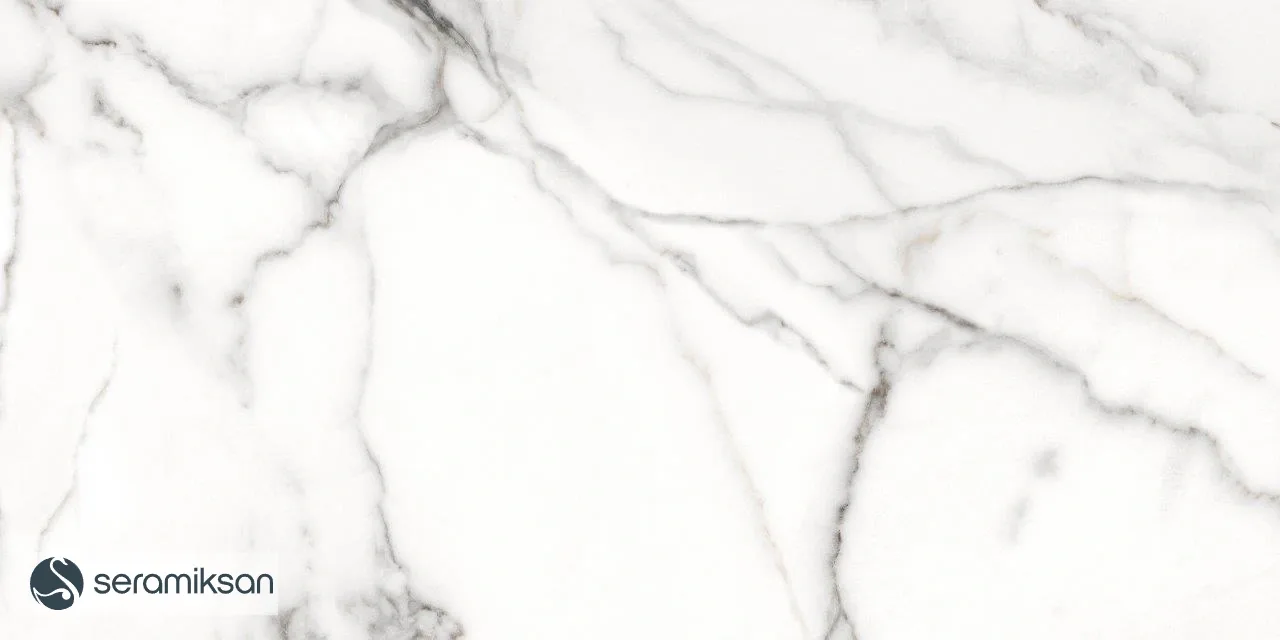 60*120 ZANZIBAR GRAY - FULL LAPP görsel 8