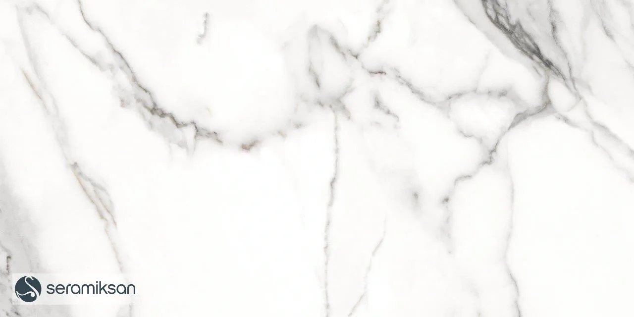 60*120 ZANZIBAR GRAY - FULL LAPP görsel 9