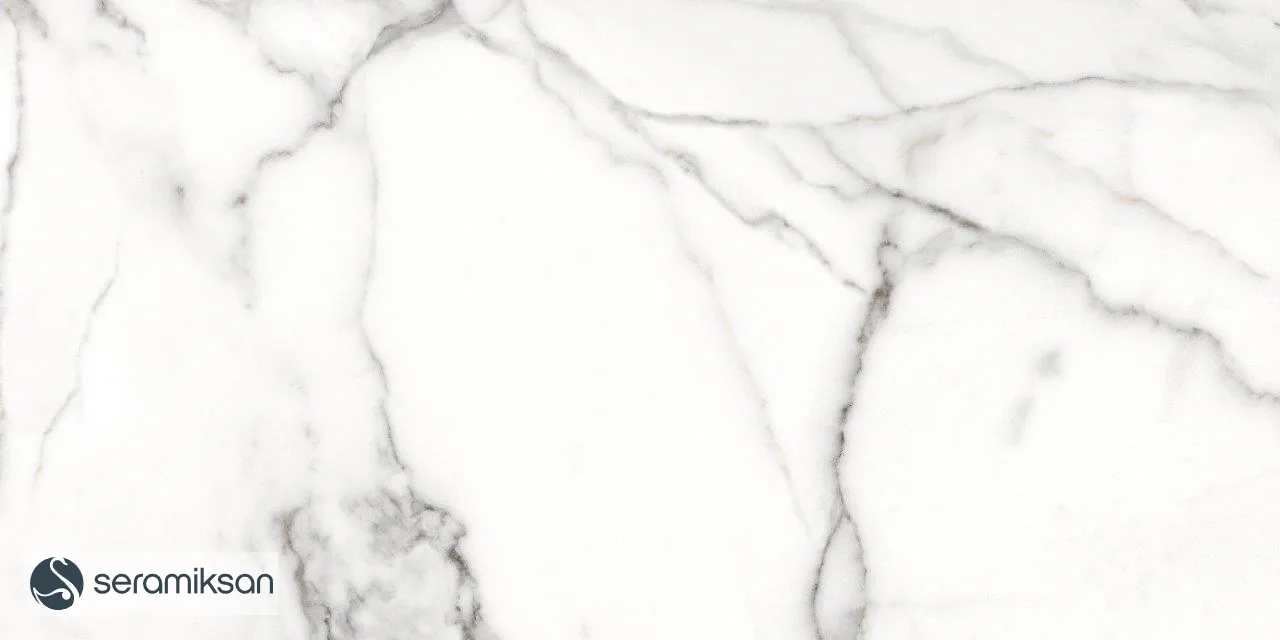 60*120 ZANZIBAR GRAY - FULL LAPP görsel 10
