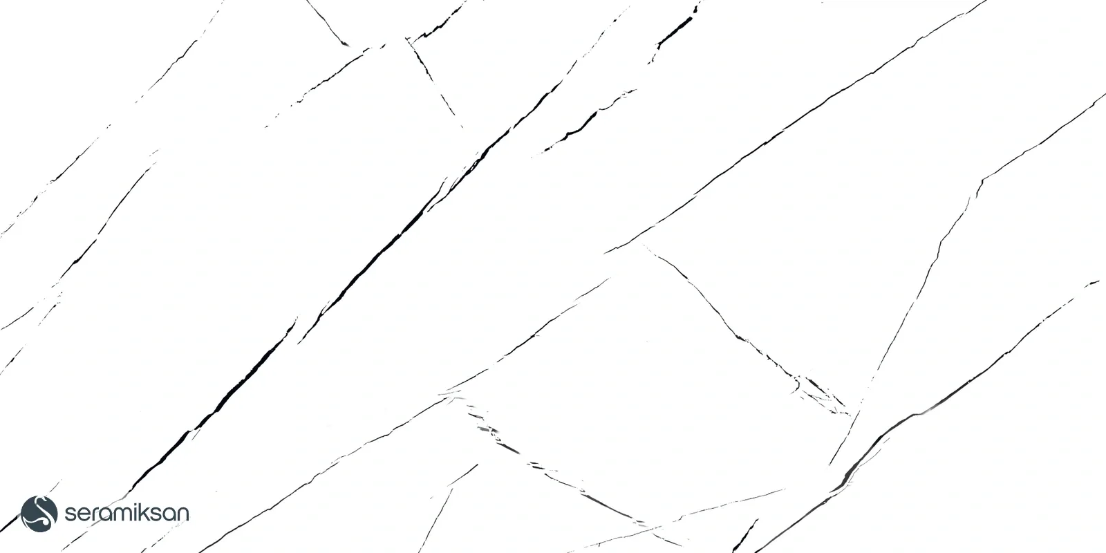 60*120 WHITE&BLACK MARBLE FULL LAPPATO görsel 2