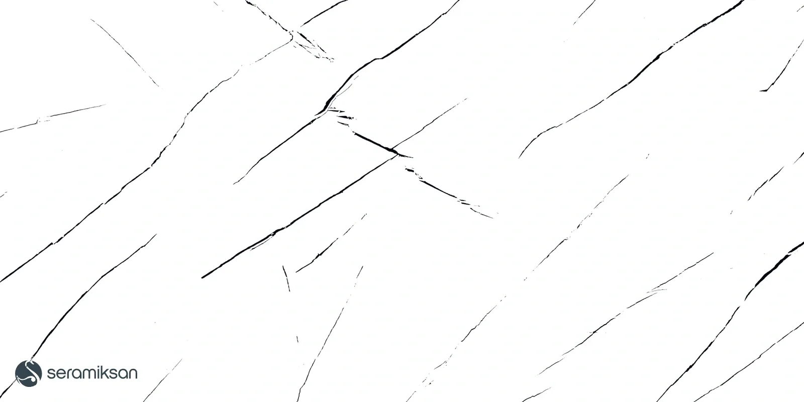 60*120 WHITE&BLACK MARBLE FULL LAPPATO görsel 5